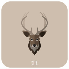Animal Portrait With Flat Design Vector Illustration. Deer