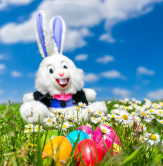 Easter eggs with Easter bunny lying in the grass with blue sky