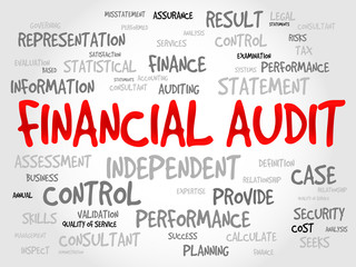 Financial Audit word cloud, business concept