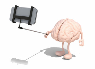  human brain with arms and legs take a selfie