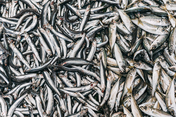 The European anchovy pattern on Istanbul market.
