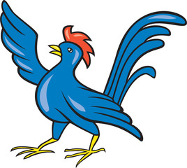 Chicken Rooster Wing Pointing Cartoon