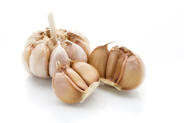 Garlic isolated on the white background.