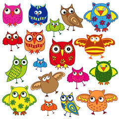 Fototapeta premium Set of eighty colourful owls