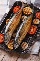 grilled fish and vegetables in a pan grill, vertical top view