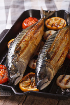 sea fish grilled mackerel and vegetables closeup. Vertical