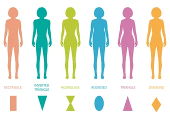 Foto op Plexiglas female body types anatomy,woman front figure shape, vector © eveleen007