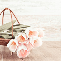 Creamy tulips in the basket