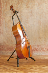 Violoncello