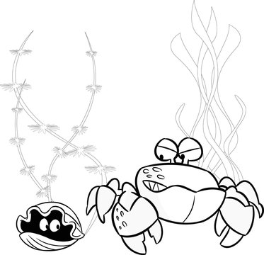 crab and shellfish