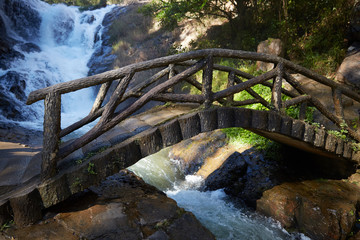 bridge of logs across a stream in a forest in Vietnam - Powered by Adobe