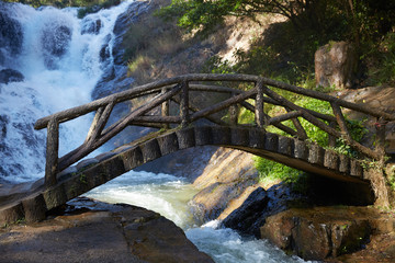 bridge of logs across a stream in a forest in Vietnam