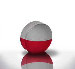 polish hockey
