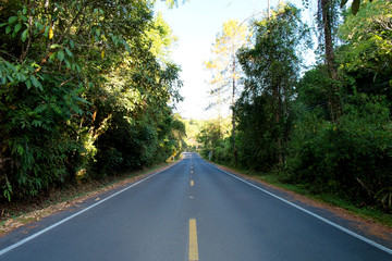 Fototapeta na wymiar Beautiful Mountain Road with sunlight, Curve road