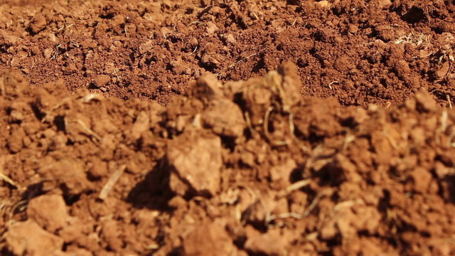 Red ground
