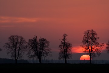 Sunset over rural field