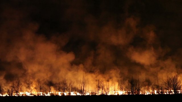 Night fire in a field