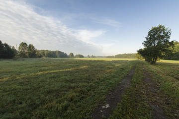 ciepły letni poranek © Piotr Szpakowski