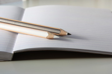 Dos lapiceros, blanco y marrón