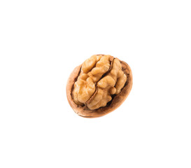 Walnut nuts over white background