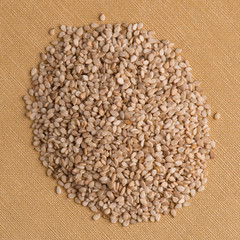 Circle of sesame seeds