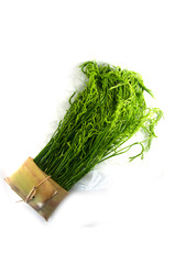 Fototapeta premium Acacia pennata - Cha-om Thai Food