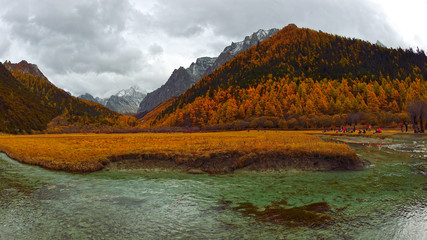 Meadow Chong Gu in Yading