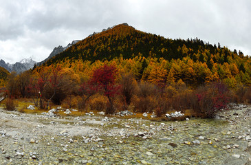 Meadow Chong Gu in Yading
