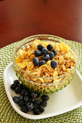 A bowl of breakfast cereal topped with blueberries