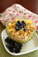 A bowl of breakfast cereal topped with blueberries