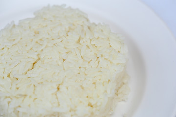 rice on white plate