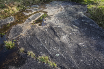 Petroglifos gallefos © Roi sande