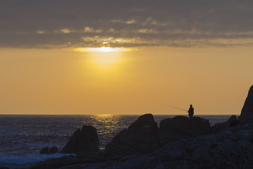 Caña de pescar