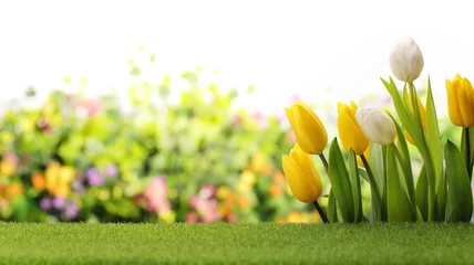 Foto op Plexiglas Tulips © Li Ding