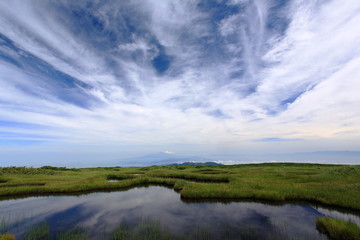 月山弥陀ヶ原湿原