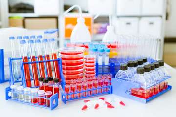 microbiology items on laboratory table