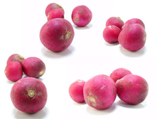 head of radish vegetable on white background