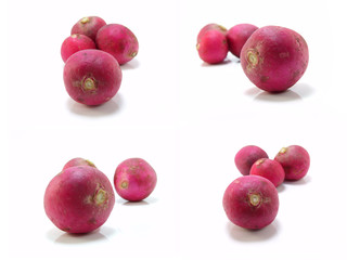 head of radish vegetable on white background