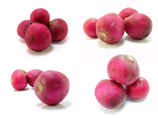 head of radish vegetable on white background