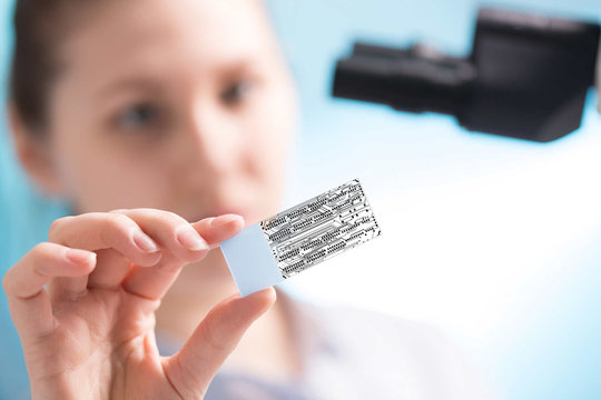 In the laboratory technician looks at slides through a microchip