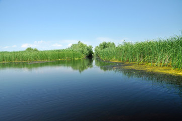 Fototapeta na wymiar Water chanel in the Danube delta, Romania