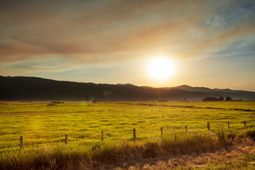 Grassland on sunset