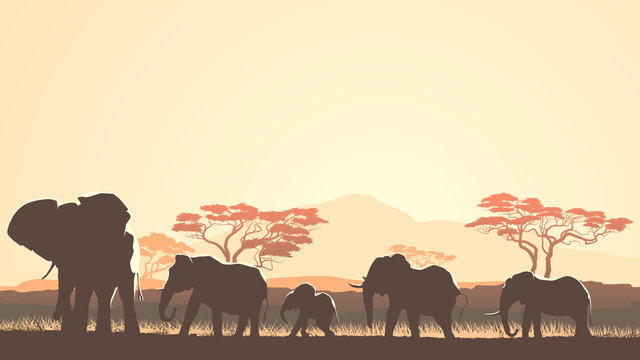 Horizontal illustration of wild animals in African sunset savann