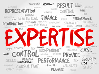 EXPERTISE word cloud, business concept