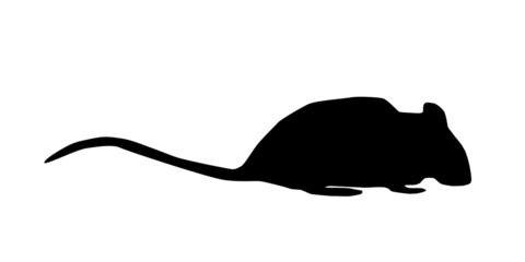 Ratte Silhouette