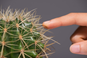 Touching cactus