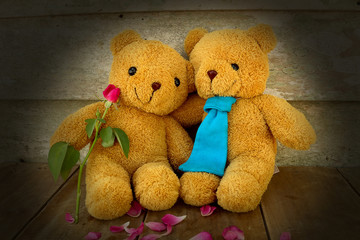 couples teddy bear.