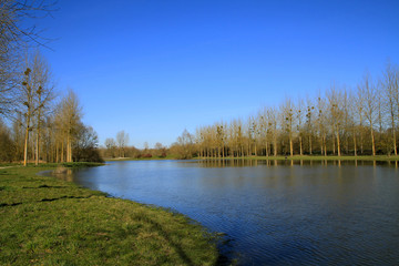 étang en Picardie