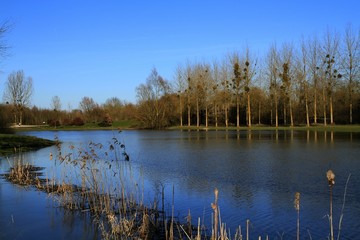 étang en Picardie