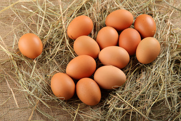 eggs